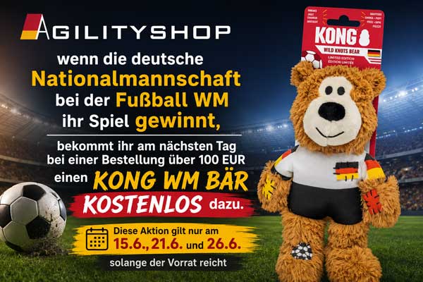 Kong Fußball WM Aktion