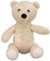 Preview: Welttierschutztag Teddy, Plüsch , ohne Stimme, 27 cm