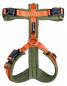 Preview: PETLANDO Magnetech Geschirr Y-Comfort olive/orange S