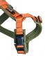 Preview: PETLANDO Magnetech Geschirr Y-Comfort olive/orange S
