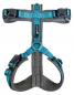 Preview: PETLANDO Magnetech Geschirr Y-Comfort anthrazit/petrol S