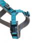 Preview: PETLANDO Magnetech Geschirr Y-Comfort anthrazit/petrol S