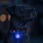 Preview: WAUDOG LED Leuchtanhänger Silikongehäuse RGB 37mm mit USB