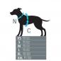 Preview: PETLANDO Mesh Y-Comfort