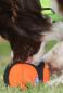Preview: Puppingtons Pods mit Schlaufe S