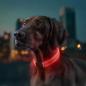 Preview: WAUDOG LED Leuchthalsband RGB verstellbar 25mm 60cm mit USB