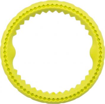 Ring, TPR ø 25cm, schwimmt lime