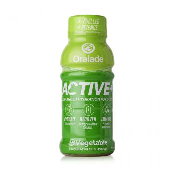 Oralade® ACTIVE+ Gemüse 250 ml