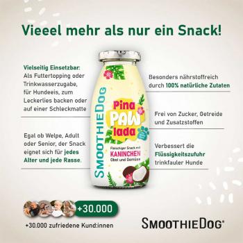 SmoothieDog Summer-Edition PinaPawLada