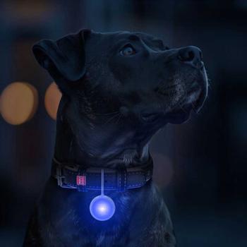WAUDOG LED Leuchtanhänger Silikongehäuse RGB 37mm mit USB