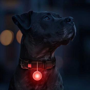 WAUDOG LED Leuchtanhänger Silikongehäuse RGB 37mm mit USB