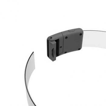 WAUDOG LED Leuchthalsband RGB verstellbar 25mm 60cm mit USB