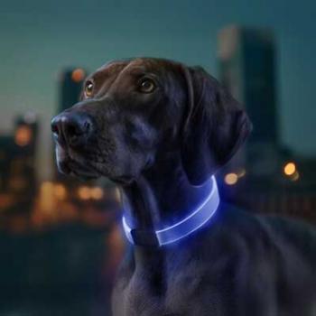 WAUDOG LED Leuchthalsband RGB verstellbar 25mm 60cm mit USB