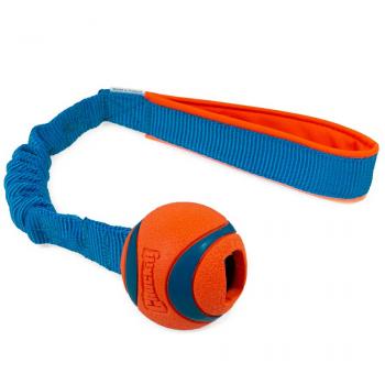 Bungee mit CHUCKIT Ultra Ball S