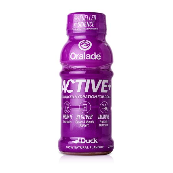 Oralade® ACTIVE+ Ente 250 ml