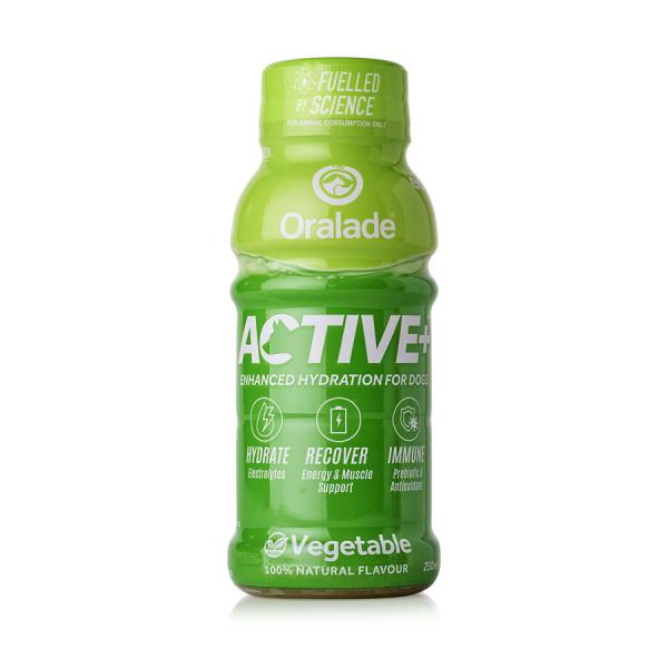 Oralade® ACTIVE+ Gemüse 250 ml