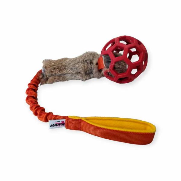 ChuckTug Air Rabbit Kaninchenbungee mit JW Gitterball S orange