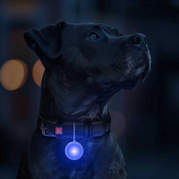 WAUDOG LED Leuchtanhänger Silikongehäuse RGB 37mm mit USB
