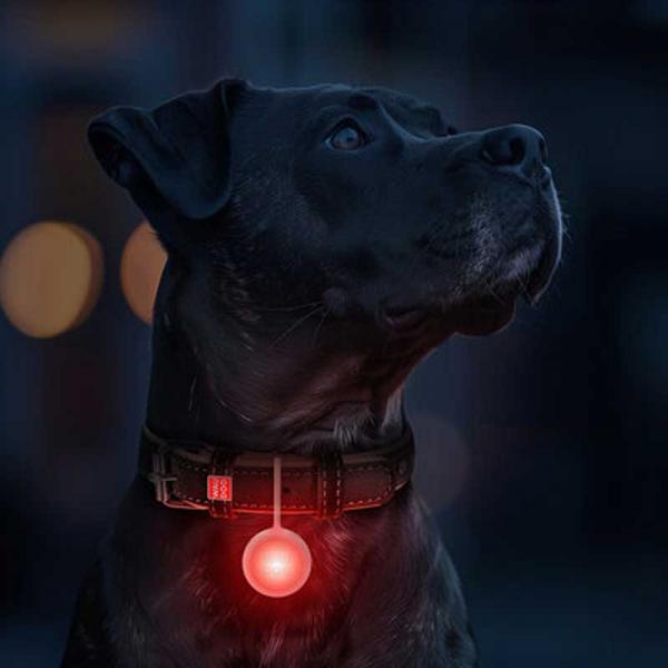 WAUDOG LED Leuchtanhänger Silikongehäuse RGB 37mm mit USB