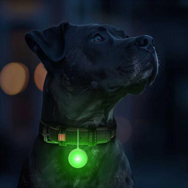 WAUDOG LED Leuchtanhänger Silikongehäuse RGB 37mm mit USB
